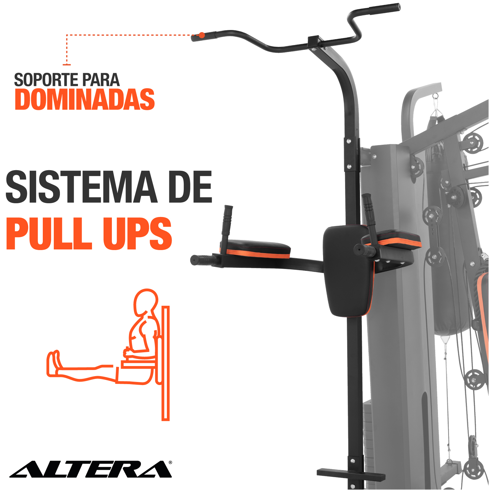 Altera Gimnasio Multifuncional Estación De Ejercicio Y Boxeo