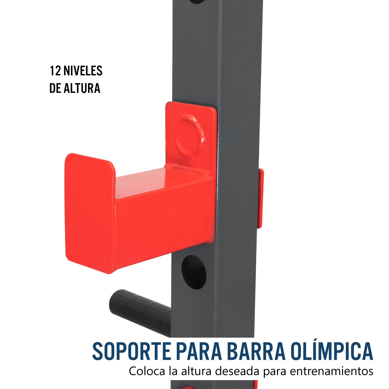 Rack Sentadilla Altera Soporte Para Barra Olimpica Gimnasio