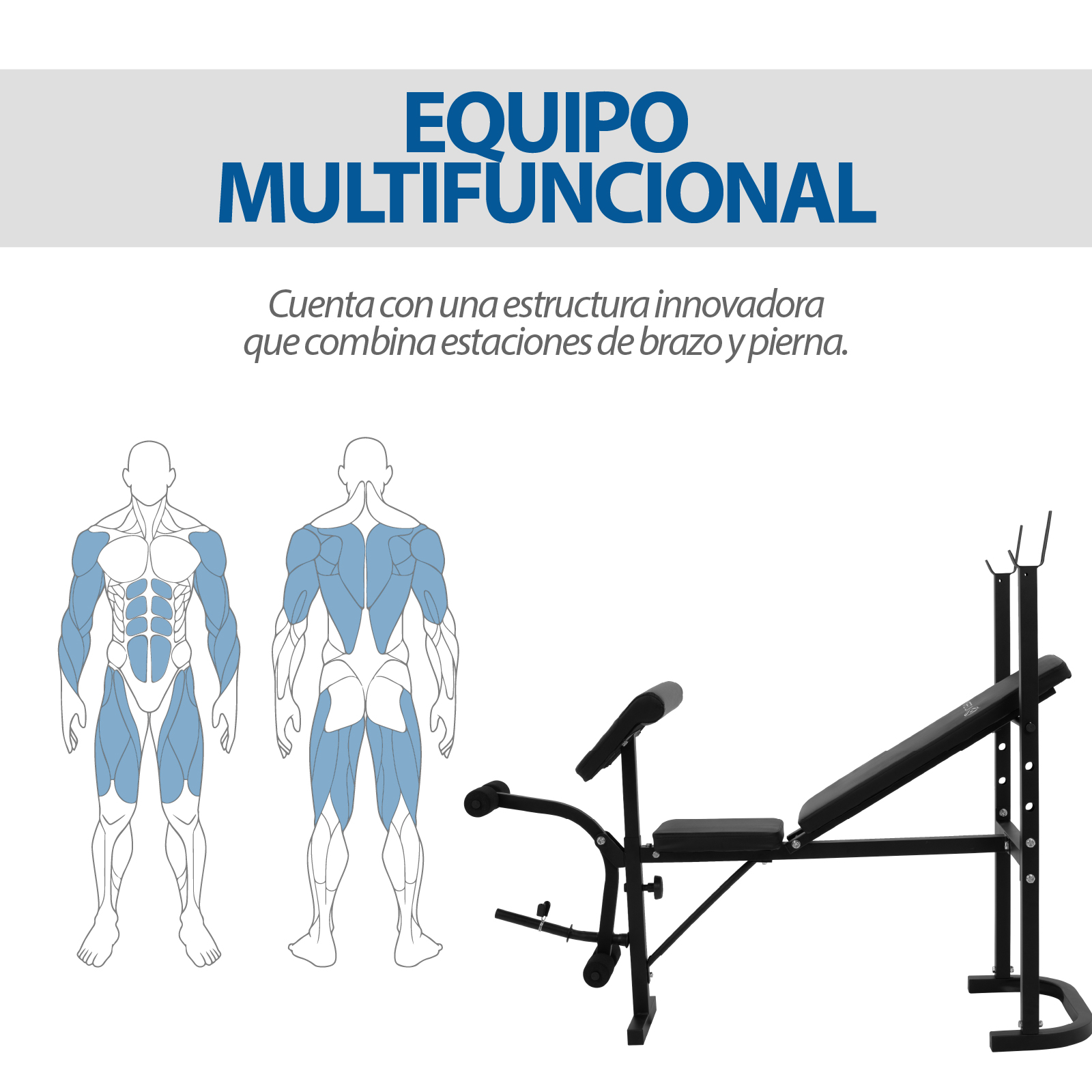 Banco Para Pesas Altera Gimnasio Estacion Ejercicios Fitness