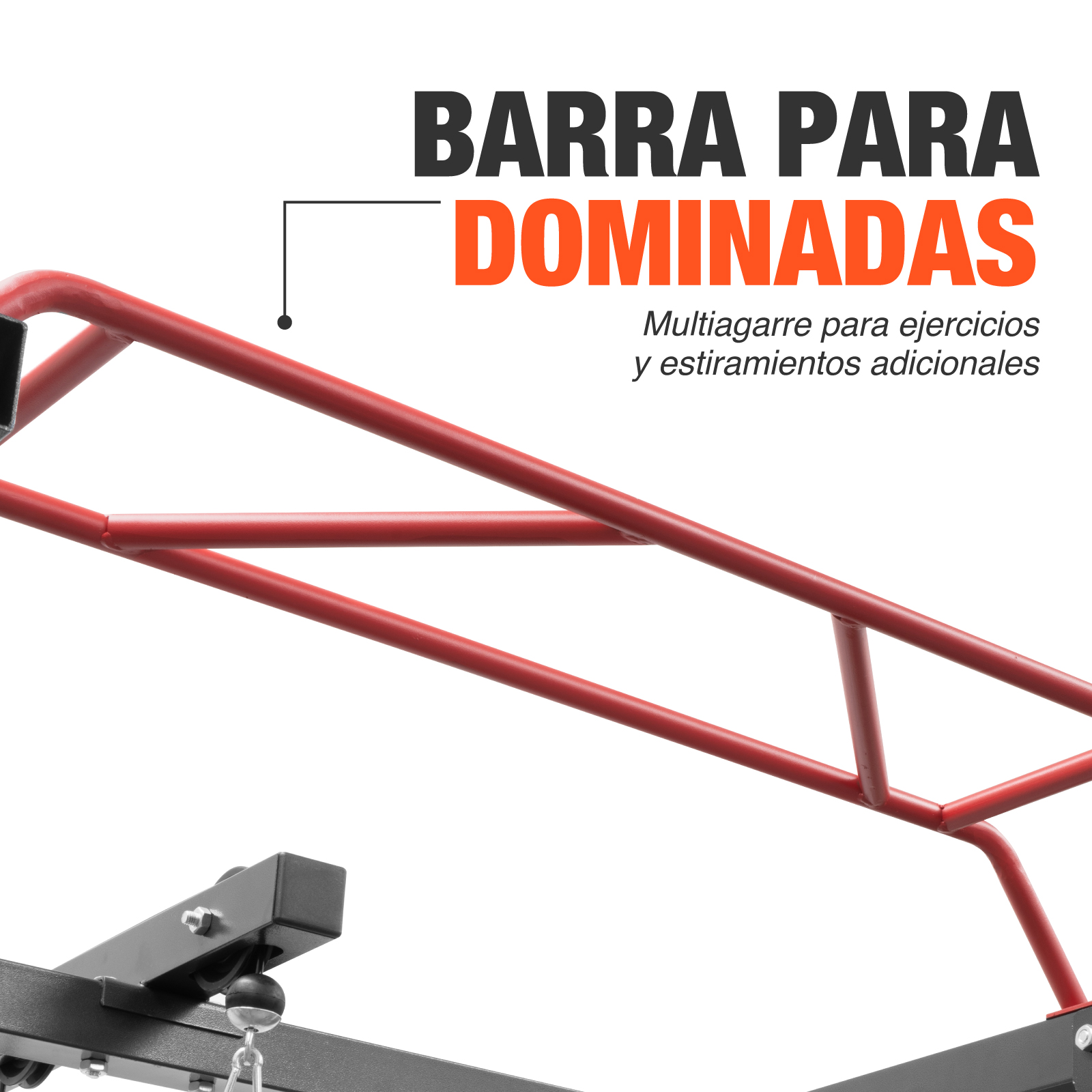 Power Rack Jaula Para Sentadillas Altera Olimpica Dominadas