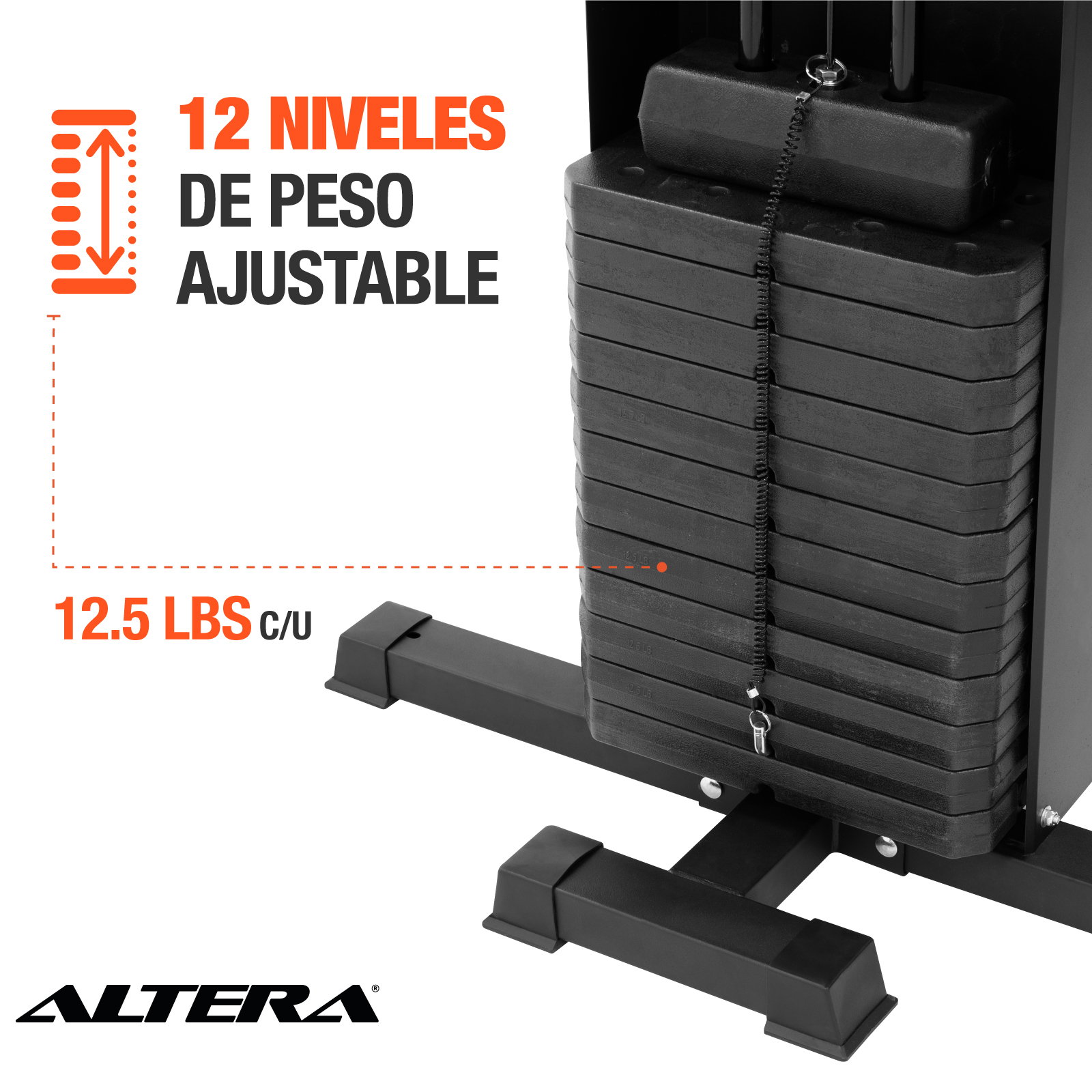 Altera Gimnasio Multifuncional Estación De Ejercicio Y Boxeo