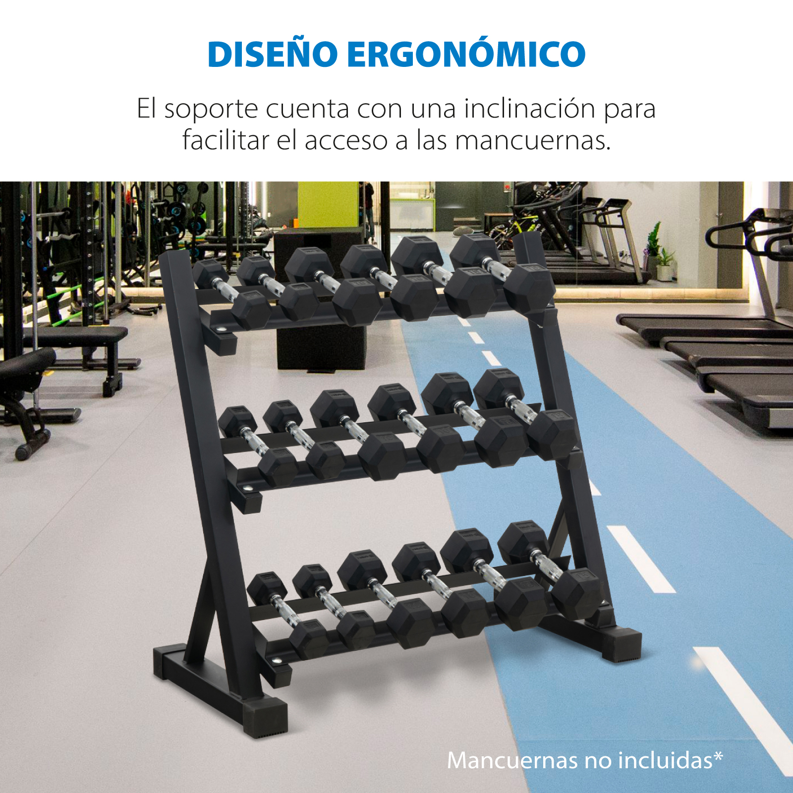 MANCUERNAS HEXAGONALES DE 15LB (x2) - Rudem Fitness Equipment