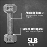 Mancuerna De Metal Hexagonal 5lb Fitness Altera 2.3kg 1 Pza - Altera